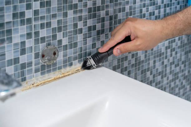 Professional Mold Removal in Buena Park, CA