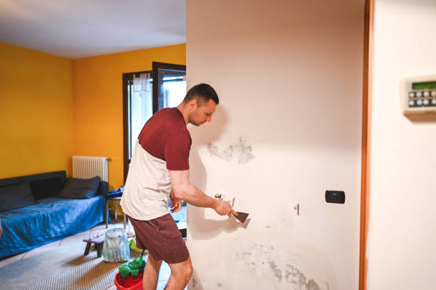 Best Mold Remediation Services  in Buena Park, CA