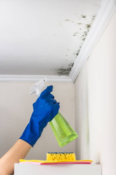 Best Mold Testing  in Buena Park, CA